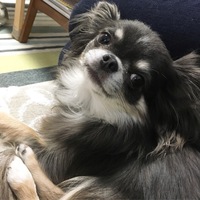 もね