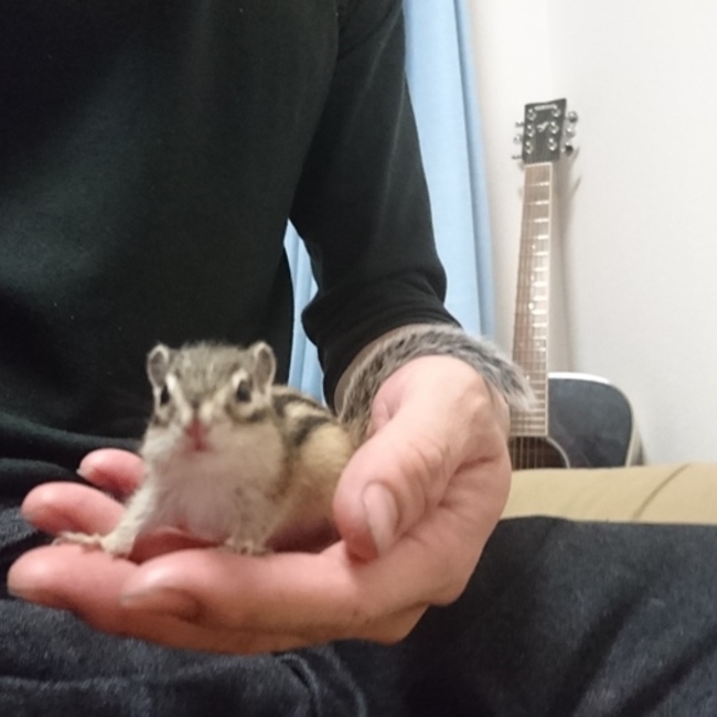 kjryoのカバー写真