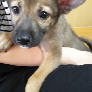 小顔のイケてる僕!!