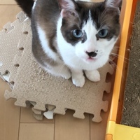 リロ