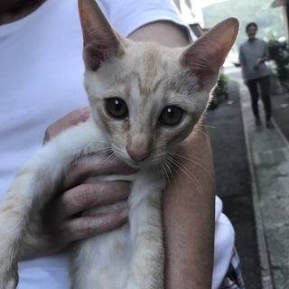 甘えん坊な男のコです(๑˃̵ᴗ˂̵)