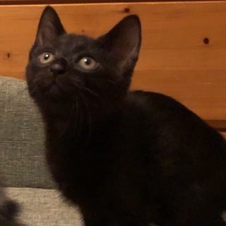 8/18池袋★プーマくん★仲良し兄妹