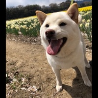 ゆき
