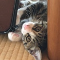 3ヶ月の男の子