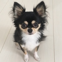 はな