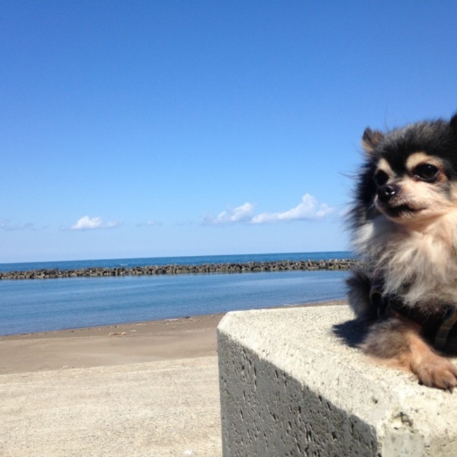 indigo625のカバー写真