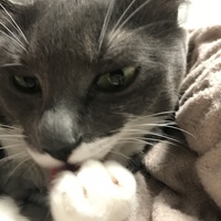 ミュウ