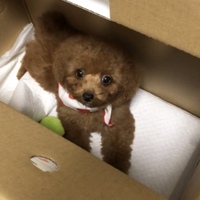 メル