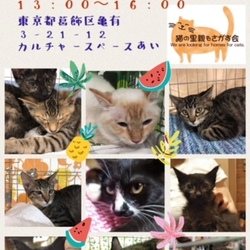 猫の里親会@亀有