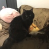 こつゆ
