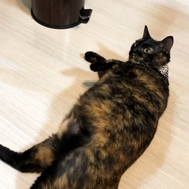 の写真