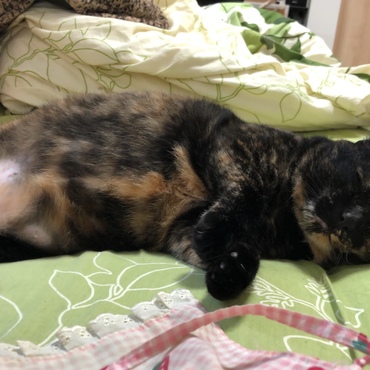 の写真