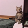 のあ0217