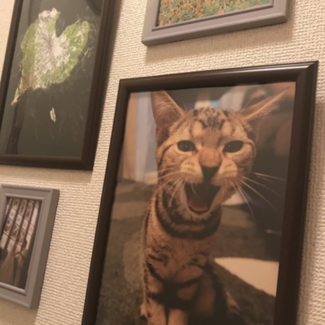 のあ0217のカバー写真