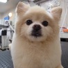 の写真