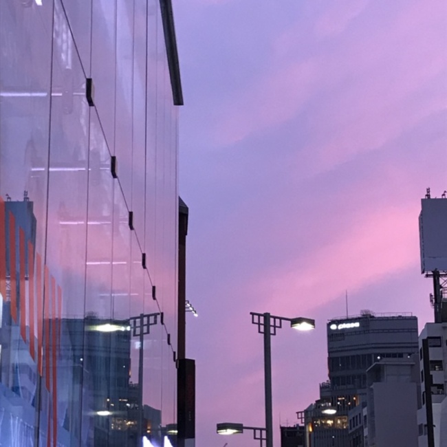 Shirley.totoのカバー写真