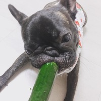 しじみ