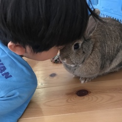 1歳になりました(´ω｀)
