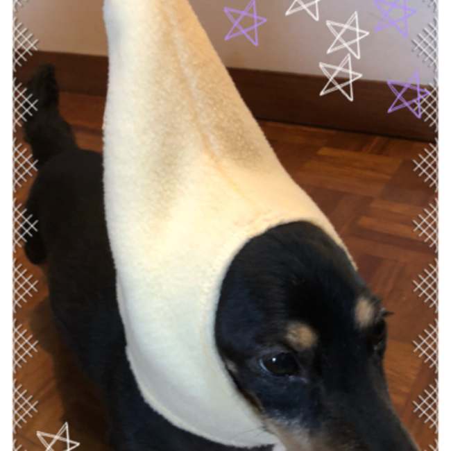 ブランキークロのカバー写真