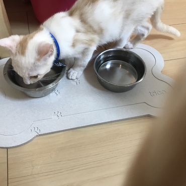 ウニくんの写真