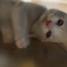 の写真