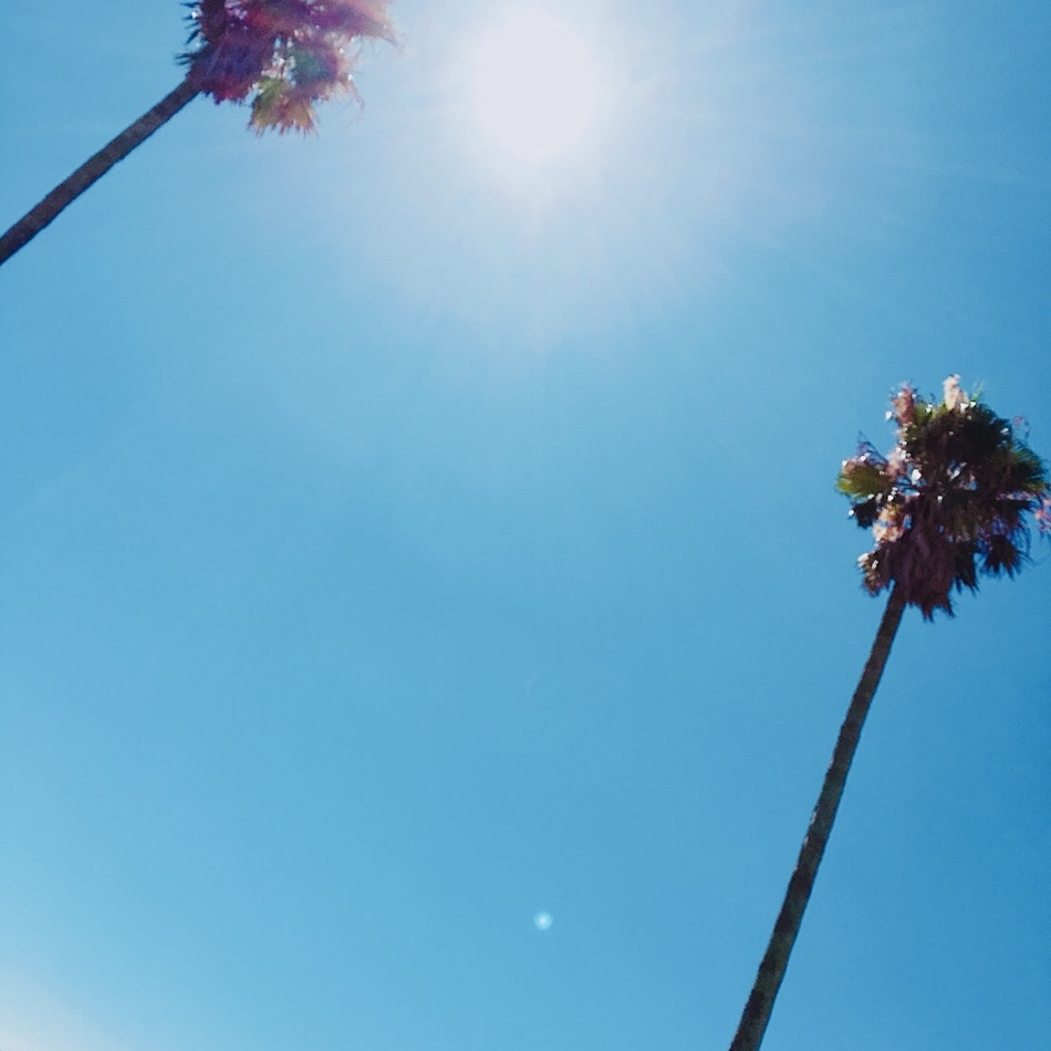 Pep君のカバー写真