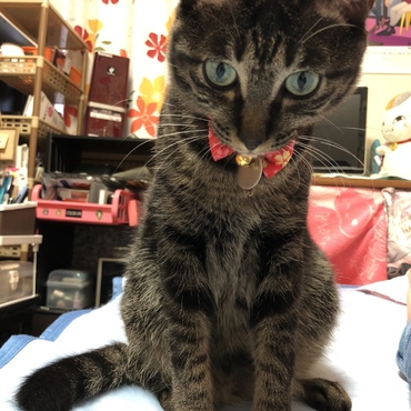 アリザの写真