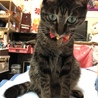 の写真