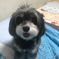 ちろ