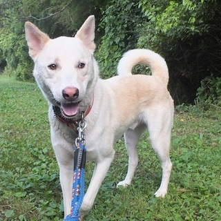 甘えっこの男の子☆たくさんナデナデしてね☆ソラくん