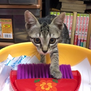 抱っこ大好きたからくん