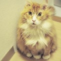 素晴らしいご縁になりました！感謝！！