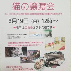 【朝霞台開催】NPO法人にゃいるどはーと譲渡会