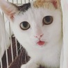 Achiki
