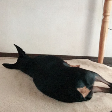 ムサシ