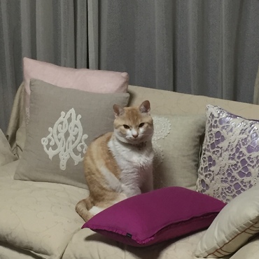 エルの写真