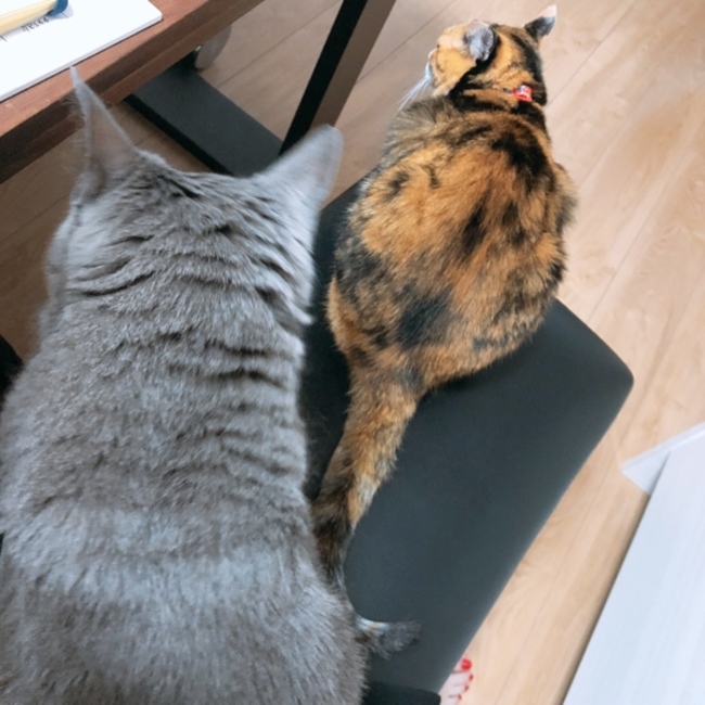 まいまい0101のカバー写真