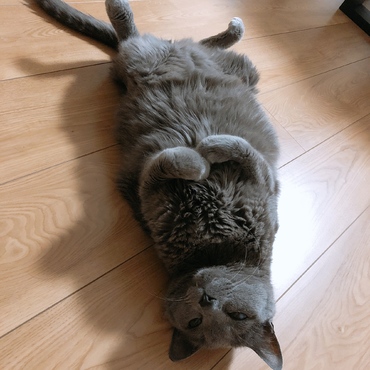 仰向けで寝るのが好きです