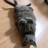 仰向けで寝るのが好きです