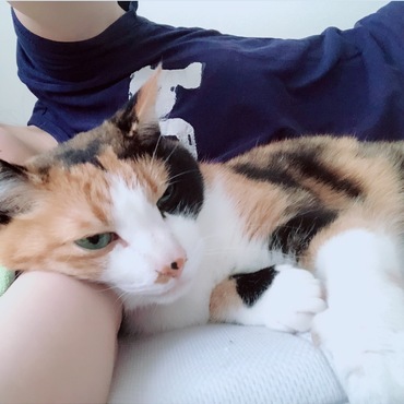 慣れると愛嬌たっぷりです
