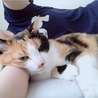 慣れると愛嬌たっぷりです