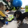 りゅーあん