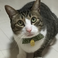 らっきょ