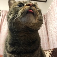 まつり