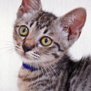 無邪気な つくしくん。