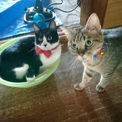 おんにゃのこ同士+再入院決定