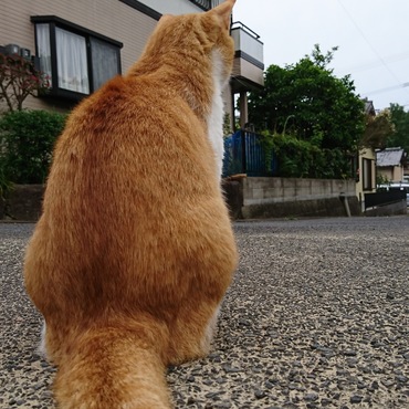 の写真