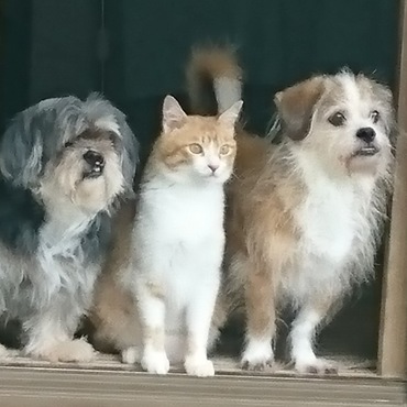 の写真