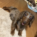 この子幸せにして下さい。