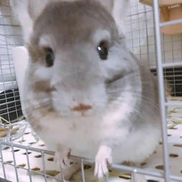の写真